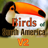 I.M.D. Publicacion C.A. - Birds of South America アートワーク