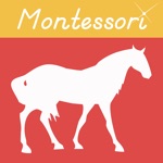 Animals -Montessori Vocabulary