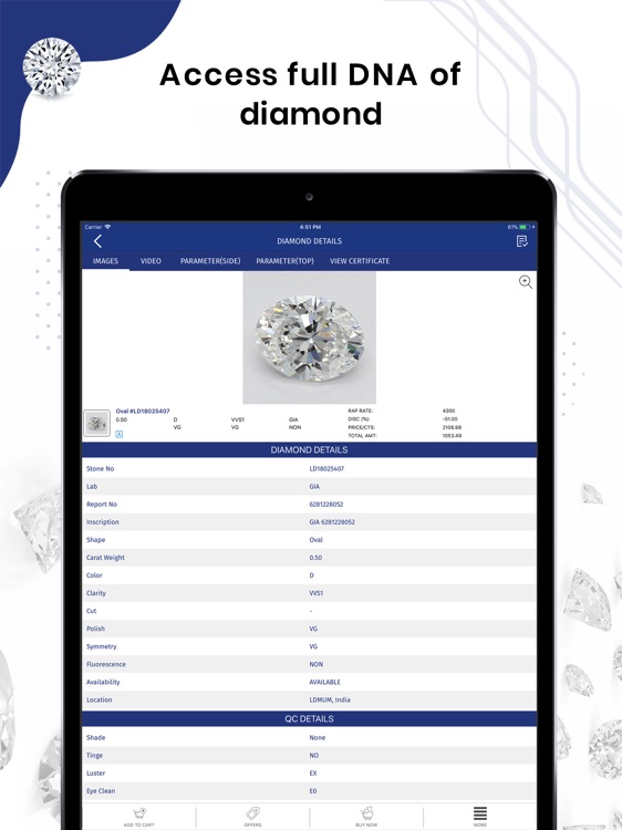 Laxmi Diamond for iPad screenshot-3