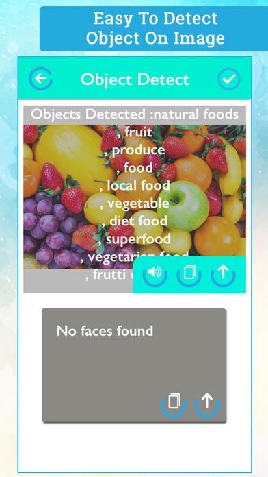 Object and Text Detection screenshot 4