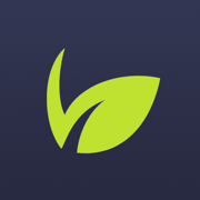 GreenMoney займы онлайн