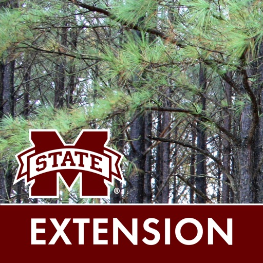 MSUES Southern Pine Thinning by Mississippi State University Extension