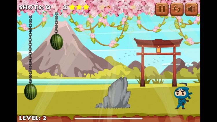 Ninja-Training screenshot-3