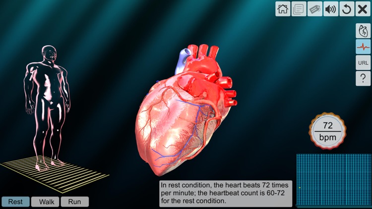 AR Human heart – A glimpse screenshot-7