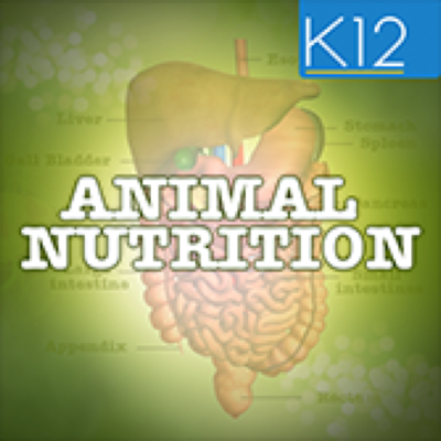 Animal Nutrition Biology