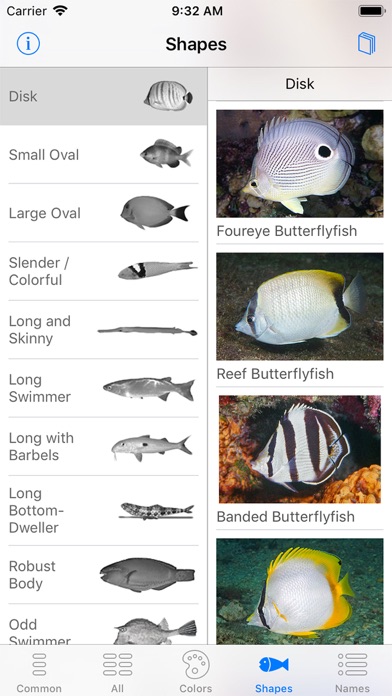 Easy Fish ID Caribbean screenshot 2