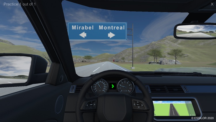 Vision & Road Safety Simulator