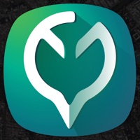 Geo Measure Area Calculator