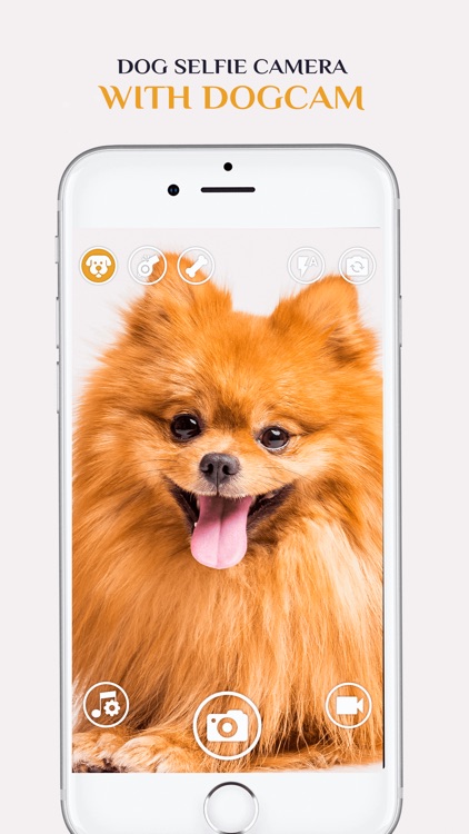 Dog Selfie Camera