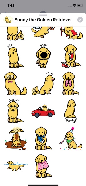 Sunny the Golden Retriever(圖3)-速報App