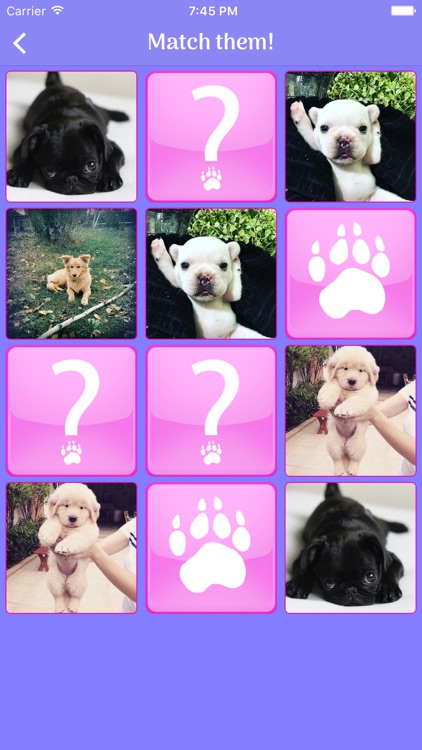 Cute Dogs Memory Match Game