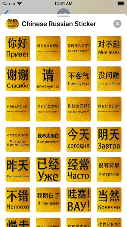 Chinese Russian Sticker screenshot-6