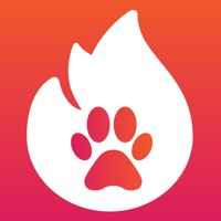 Tindpet pour PC