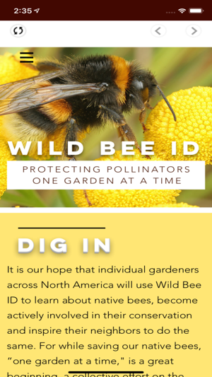 Wild Bee ID(圖1)-速報App