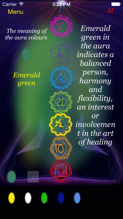 Chakra aura view screenshot-3