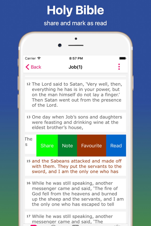 Offline Holy Bible  Speaking screenshot 4