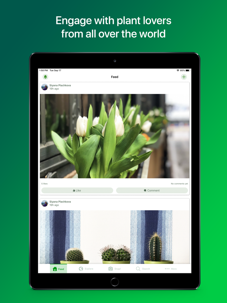 Plant Id App Free : PlantSnap Plant Identification App for iPhone