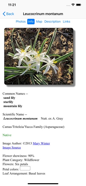 Oregon Wildflower Search(圖4)-速報App