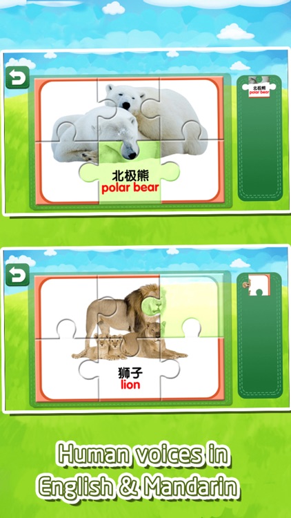 Flashcards jigsaw puzzle game