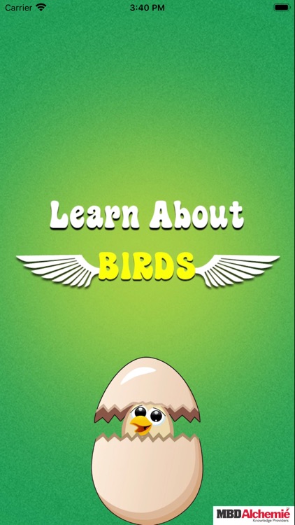 Learn about Birds