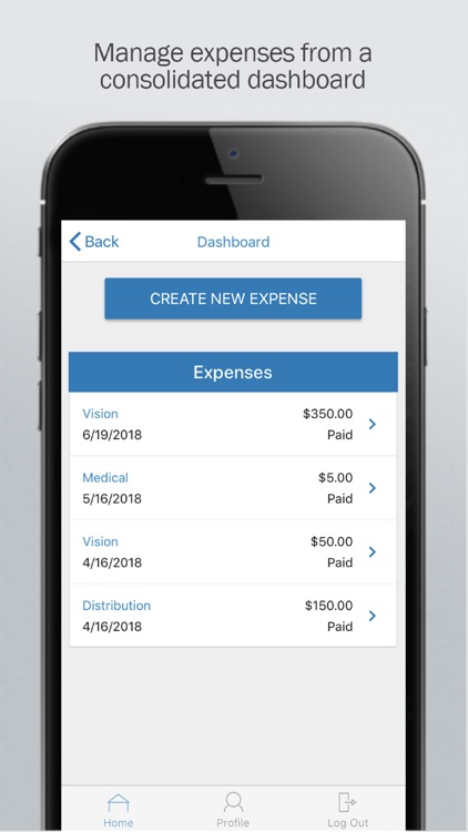 Automated Benefit Svcs FSA