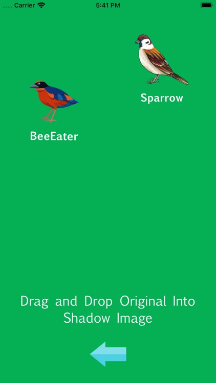 DragDropandCroosMatchBird screenshot-7