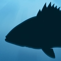 Fish Rules: Fishing App