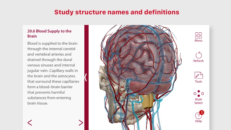 Anatomy & Physiology screenshot-3