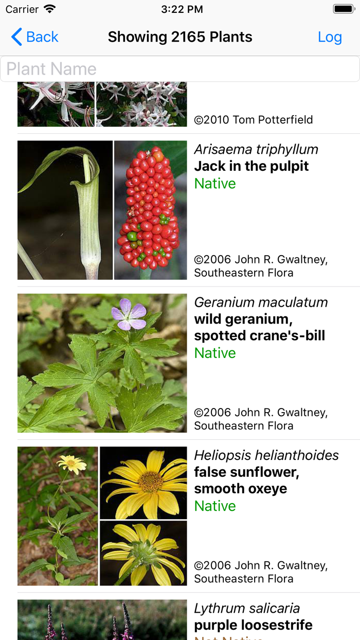 Delaware Wildflowers