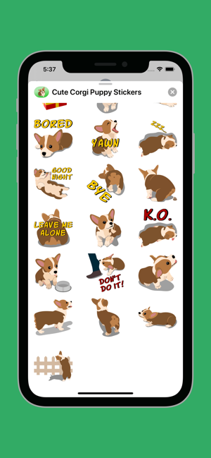 Cute Corgi Puppy Stickers(圖3)-速報App