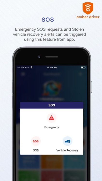 Amber Driver screenshot-8