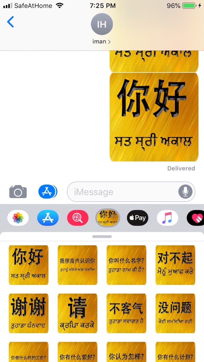 Chinese Punjabi
