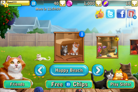 Bingo Cats screenshot 2