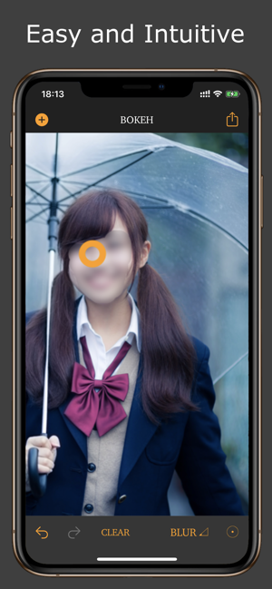 Bokeh Blur Editor(圖2)-速報App