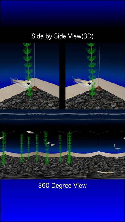 Rice Fish AR/VR