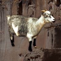 Baa - Goat Sounds pour PC