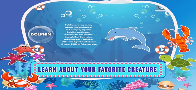 Learn Sea World Animal Games(圖1)-速報App