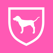 PINK Nation