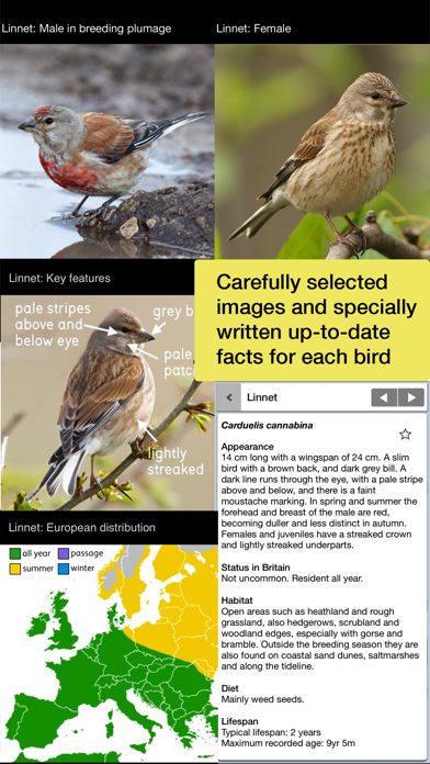 Birds of Britain Pro screenshot 4