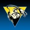 Electrical Calc Elite™ is the industry’s top NEC code calculator