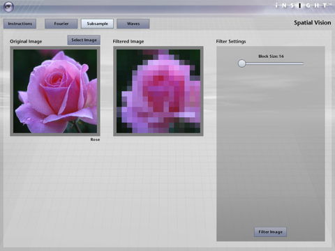 iNSIGHT Spatial Vision - náhled