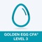 Your new best friend in learning Golden Egg CFA® Exam Level 3 Practice Test Pro takes test preparation to a new level