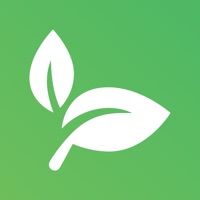 FlourishDx pour PC