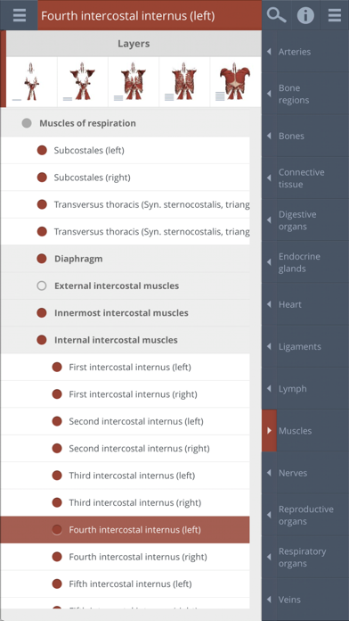 How to cancel & delete Thorax: 3D Real-time from iphone & ipad 3