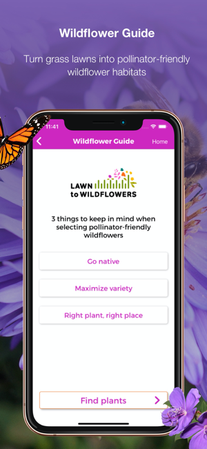 Lawn to Wildflowers(圖3)-速報App