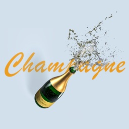 Champagne Surprise Stickers