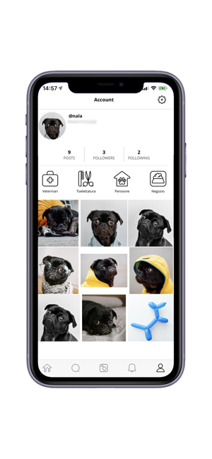 Zamply - Pet Social Network(圖6)-速報App