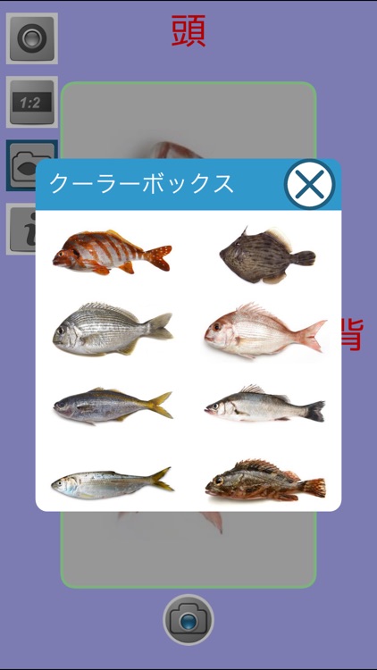 教えて!魚