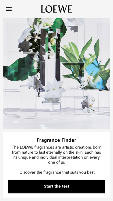LOEWE Perfumes screenshot 3