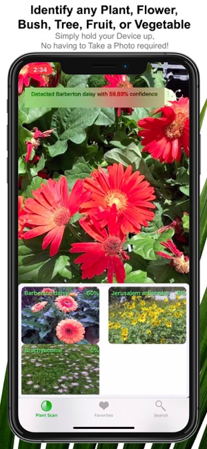 Plant Scan - Identification(圖1)-速報App